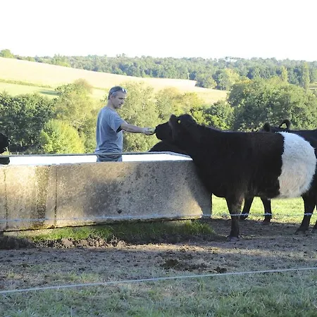 Bed & Breakfast Chateau De Lerse Perignac (Charente)