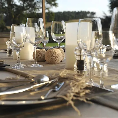 Couette-café Chateau De Lerse Perignac (Charente)