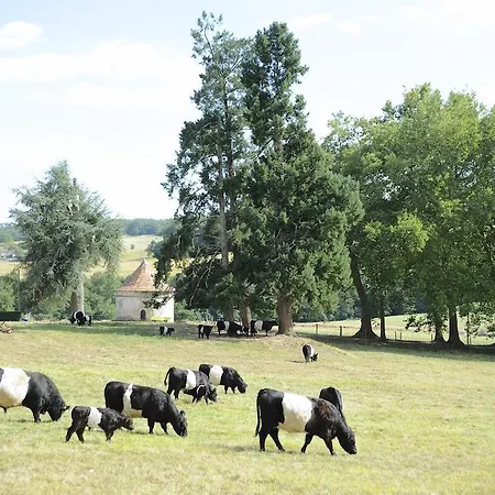 Bed & Breakfast Chateau De Lerse Perignac (Charente)