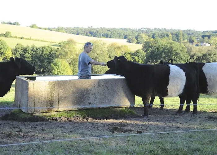 Oda ve Kahvaltı Chateau De Lerse Perignac (Charente)