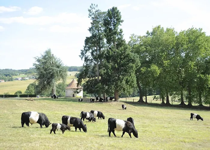 Oda ve Kahvaltı Chateau De Lerse Perignac (Charente)