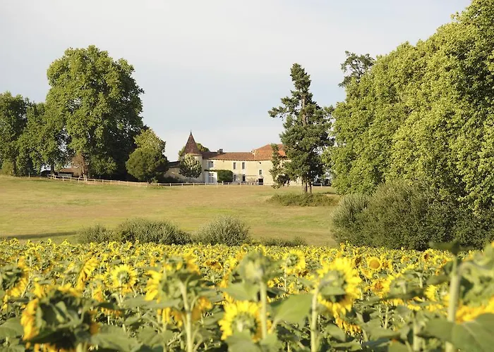 Oda ve Kahvaltı Chateau De Lerse Perignac (Charente)